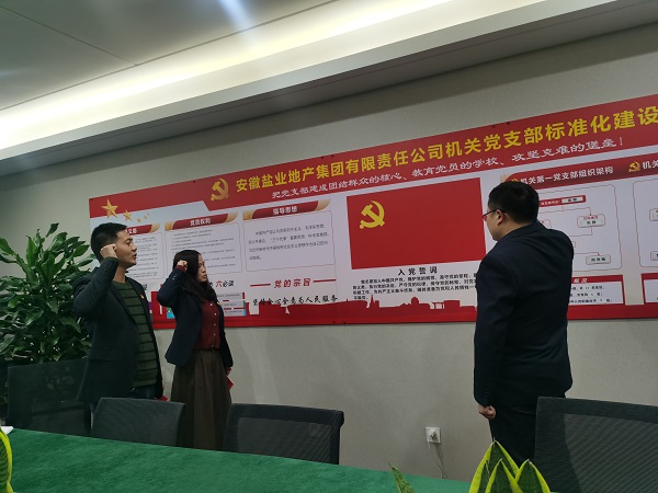 安徽鹽業(yè)地產(chǎn)集團機關(guān)第一黨支部開展“佩黨徽、誦誓詞、贈黨章、上黨課”黨員教育活動